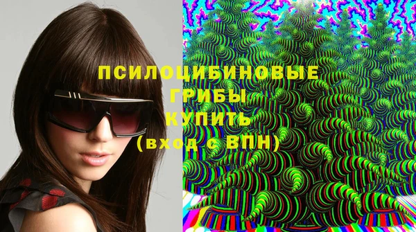 ГАЛЛЮЦИНОГЕННЫЕ ГРИБЫ Карпинск